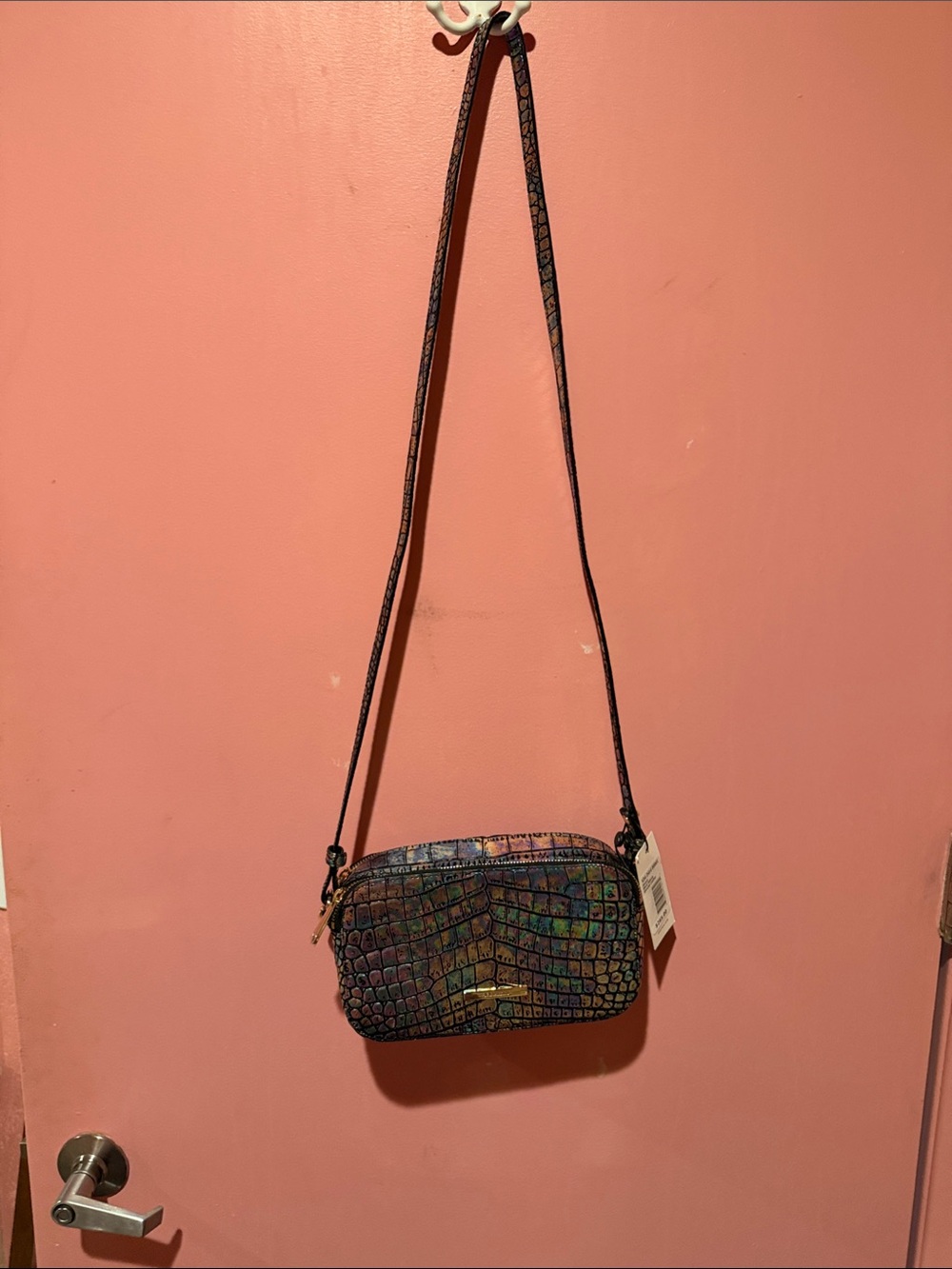 Iridescent Croc-Embossed Crossbody Bag - Black Multi